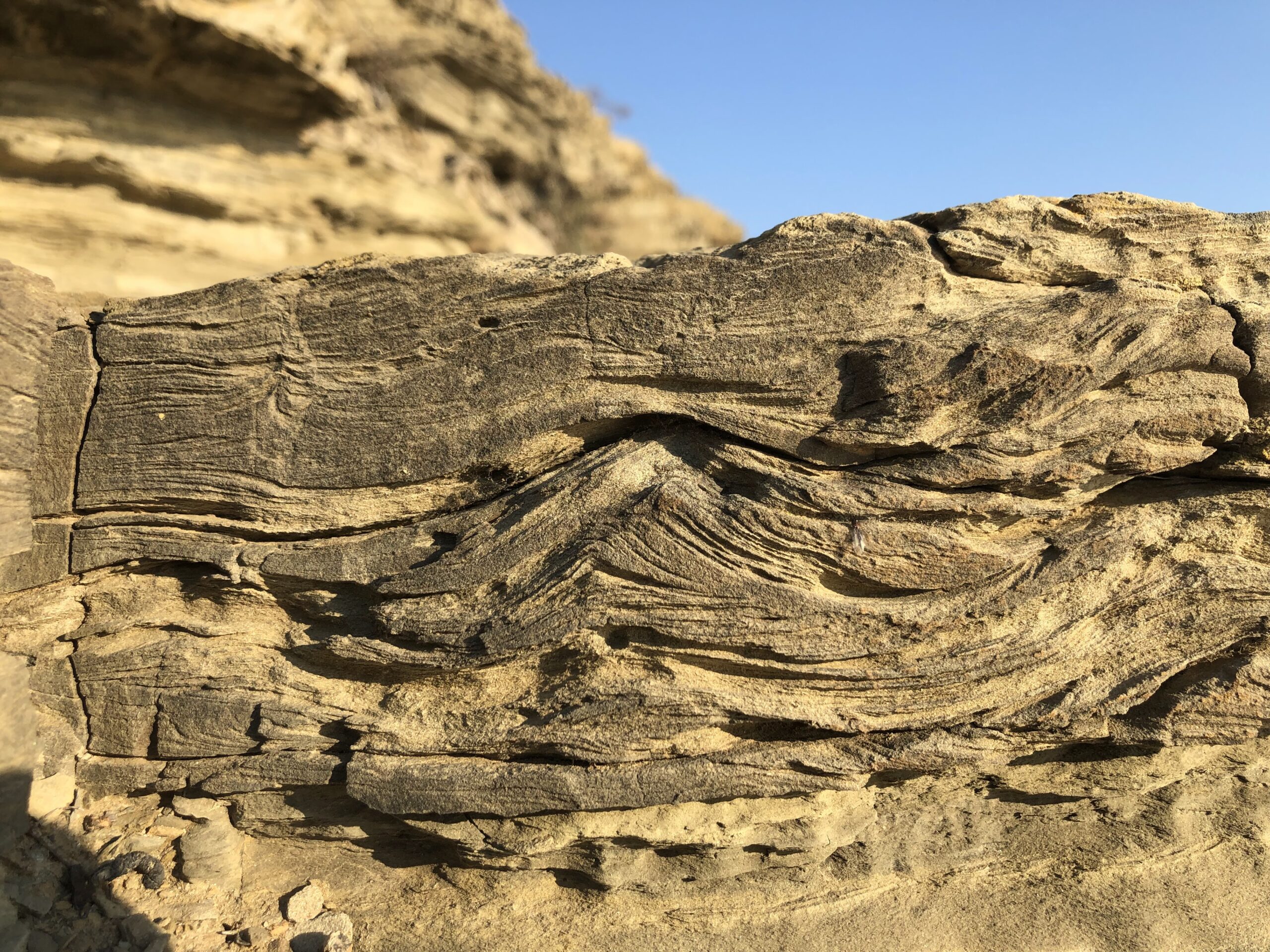 slump nei sedimenti del macigno, livorno