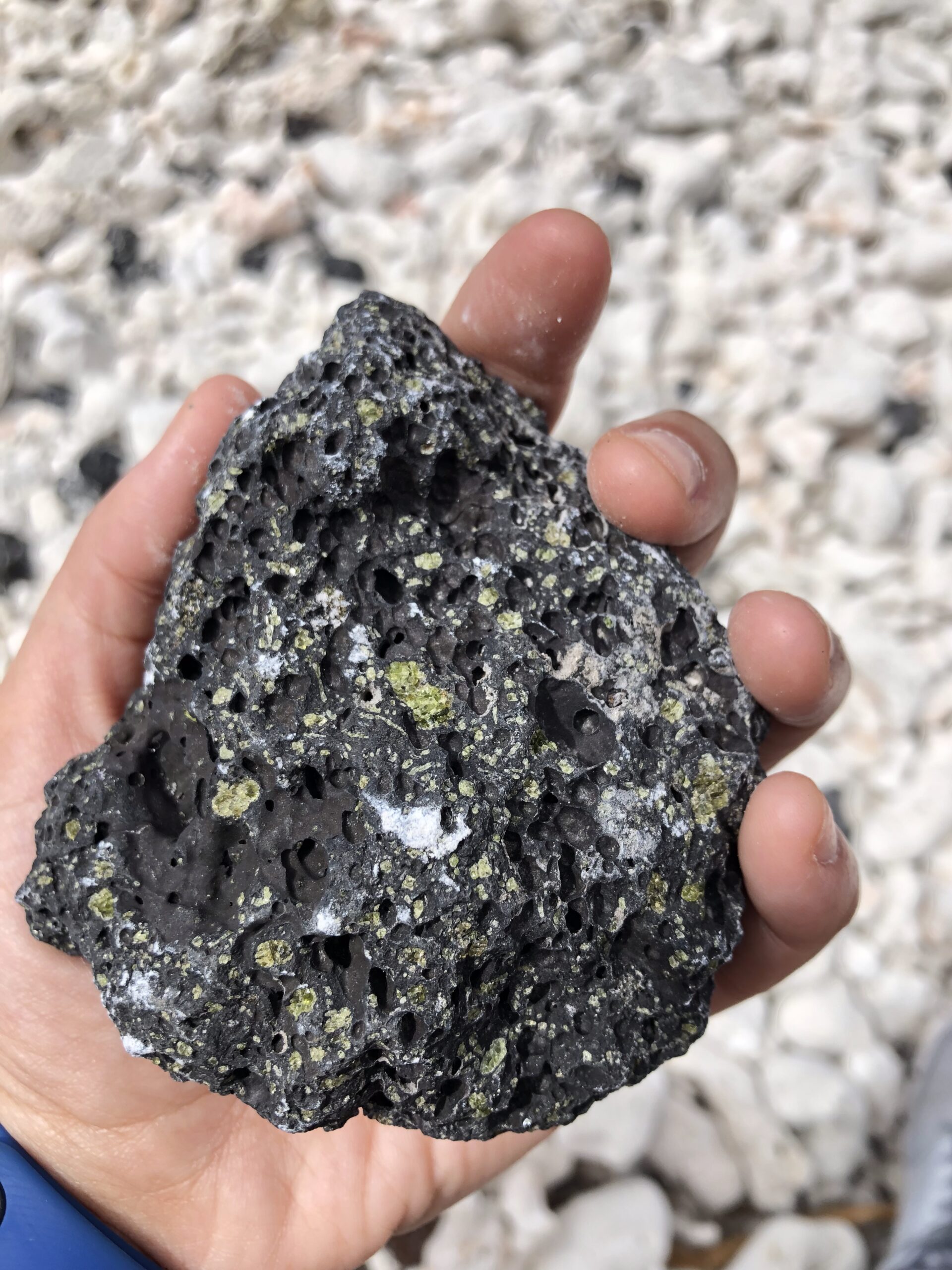 campione di basalto con olivine