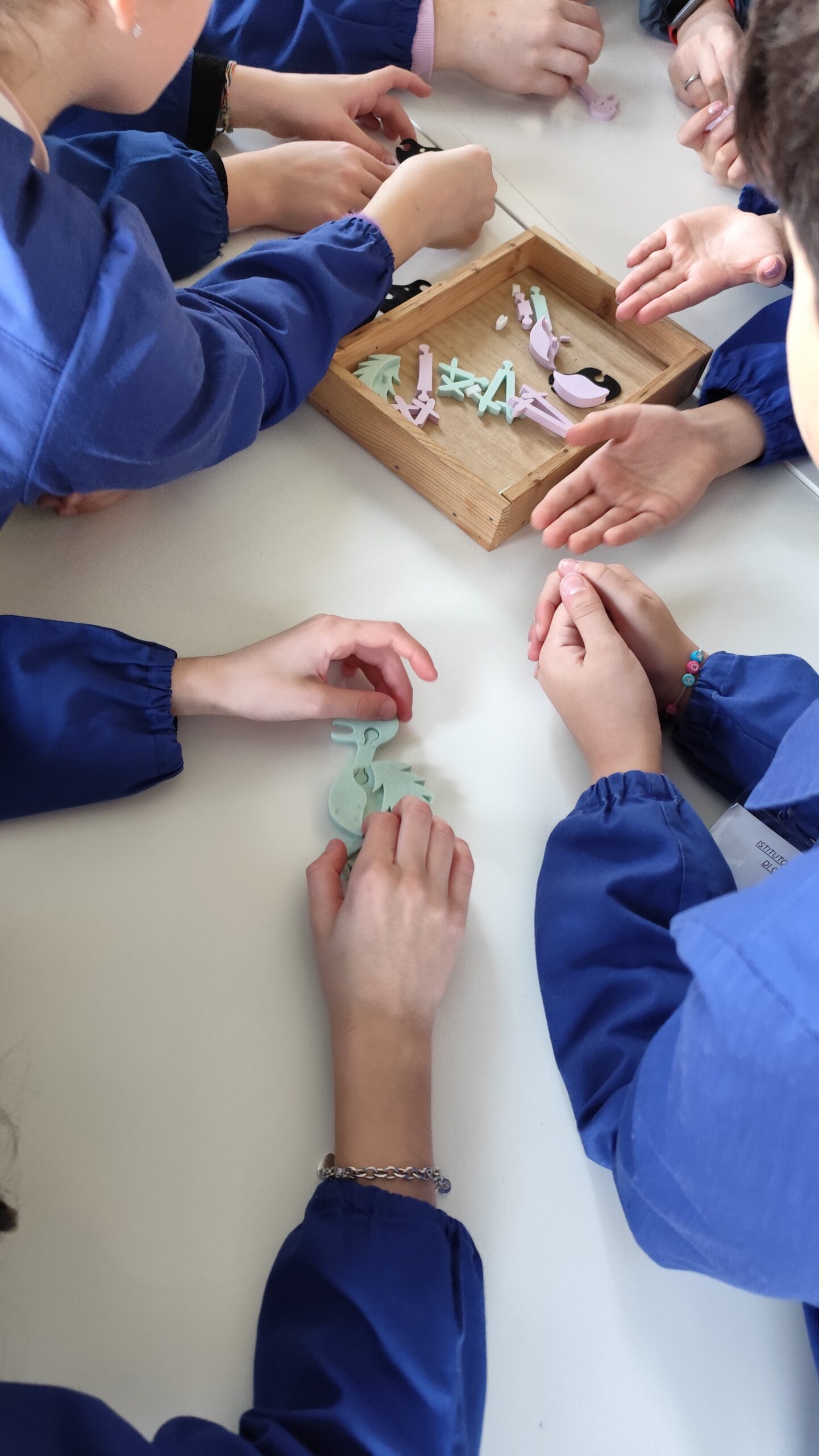 mani di bambini che costruiscono gli animali del laboratorio "l'evoluzione mi fa specie"
